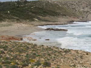IMG_5442 (Medium)